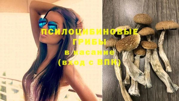 герыч Аркадак