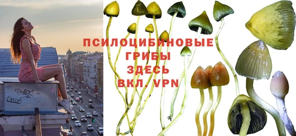 герыч Аркадак